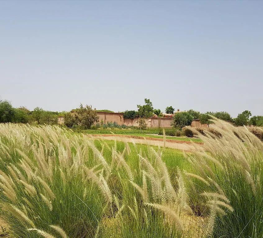 마라케시 Les Jardins De Touhina 빌라 0*,  모로코
